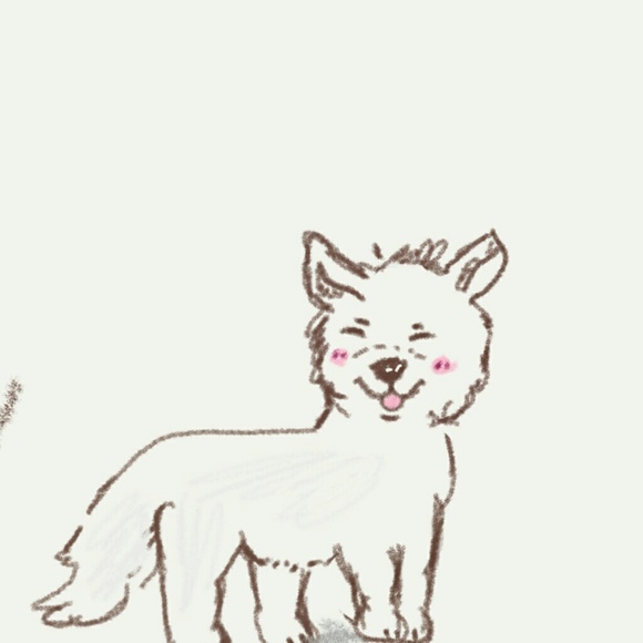 Meet your Posher, Molly - Picture 2 of 8